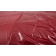 Bâche en Vinyle Lack 200 x 230 cm Rouge foncé 