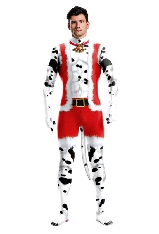 Combinaion Dalmatien de Noël 