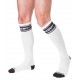 Identity Socks Bottom 