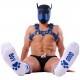 Chaussettes Good Boy Blanc-Bleu 