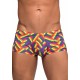 Boxer PRIDE FEST
