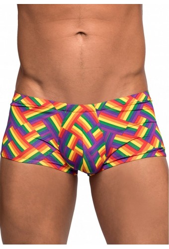 Boxer PRIDE FEST 