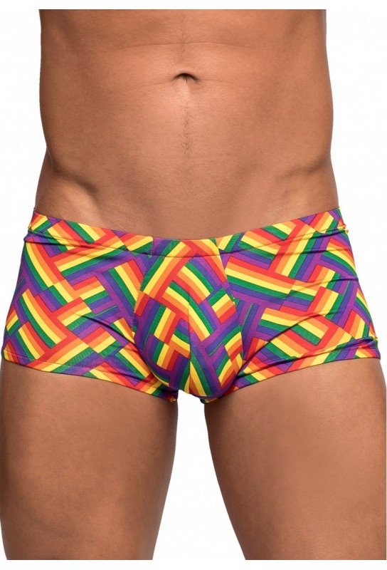 Boxer PRIDE FEST 