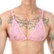 Soutien-Gorge Dentelle Aleria Rose