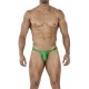 String Brazilian Vert 