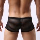 Boxer sexy Linea Noir 