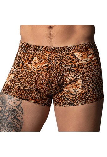Boxer léopard Ring & Short Marron 