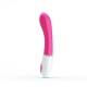 Vibromasseur Daniel VOICE - 19.5 x 3.1 cm 