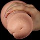Gode vibrant Long Dildo 25 x 6 cm 