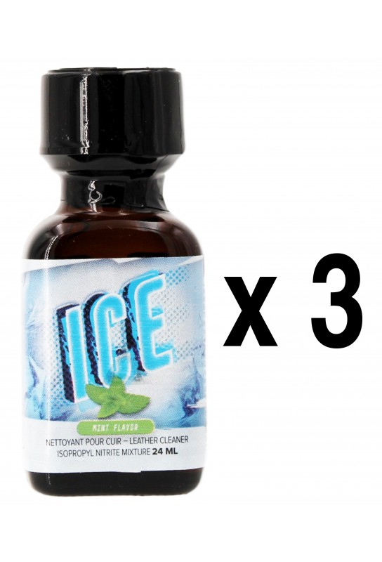 ICE Menthe 24ml x3 
