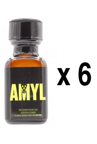  Amyl 24mL x6 