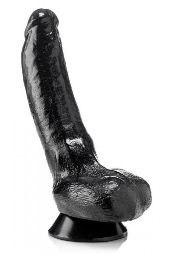 HELMUT 23 x 6.5 cm 
