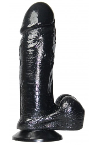 MOGNON 20 x 6.1 cm 