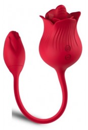 Double Stimulateur Lickclit 6 x 3cm