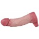 Gaine à pénis Dickedick 19 x 5.5cm 