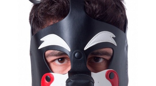 Pet play : guide complet pour débuter le jeu de rôle animalier